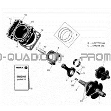 Rotax - Vilbrequin Et Piston pour Can-am Toutes les cylindrées 2021 Traxter T HD5 - BASE - T Regulation