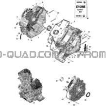 Rotax - Carter pour Can-am Toutes les cylindrées 2021 Maverick Trail 800 - BASE_DPS - T Regulation