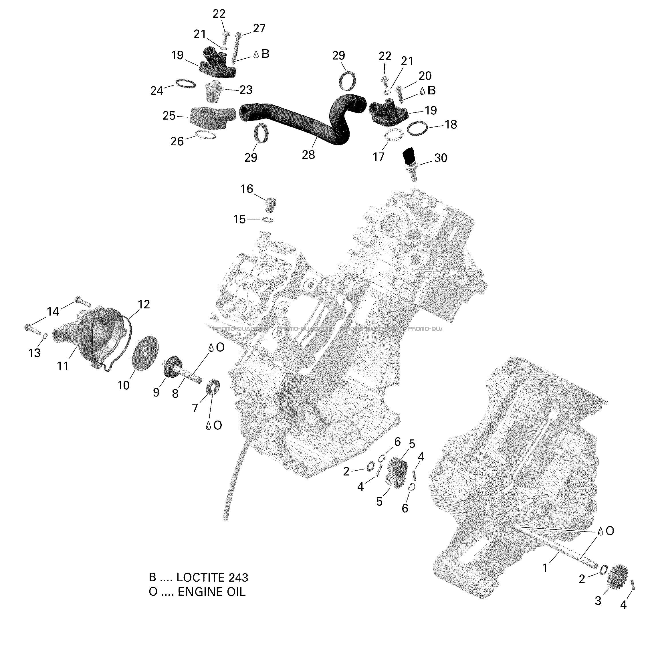 Rotax - Refroidissement Moteur  Can-am  2021 Toutes les cylindrées  pièces OEMRotax - Refroidissement Moteur  Can-am  2021 Toutes les cylindrées  pièces OEM