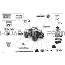 Body - Decals - STD pour Can-am Toutes les cylindrées 2021 Renegade T 650 EFI - STD_XXC - T Regulation