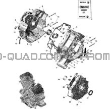 Rotax - Carter pour Can-am Toutes les cylindrées 2022 Commander MAX 1000R EFI - DPS
