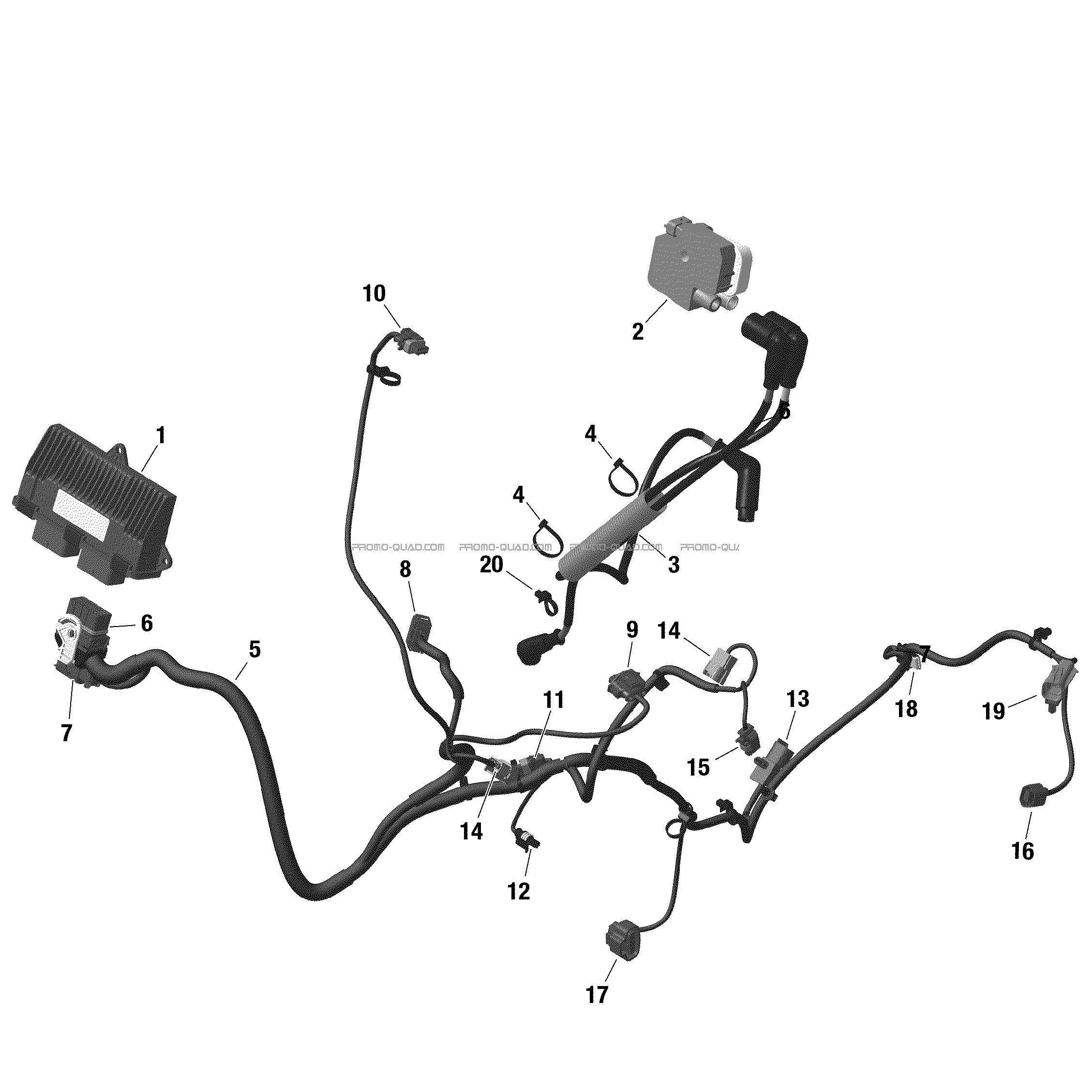 ROTAX - Câblage Moteur Et Module Électronique  Can-am  2022 Toutes les cylindrées  pièces OEMROTAX - Câblage Moteur Et Module Électronique  Can-am  2022 Toutes les cylindrées  pièces OEM