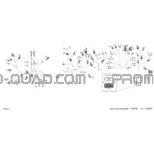 Électrique - Câblage Principal - 710007901 pour Can-am Toutes les cylindrées 2022 Outlander T 6X6 - 1000 EFI - XT - T Regulation