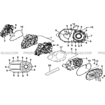 CARTER MOTEUR pour Tgb all cylinders All years BLADE 550LT-FI 4X4 2016