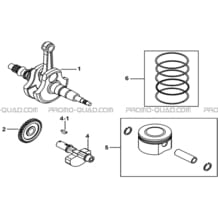 VILEBREQUIN pour Tgb Toutes les cylindrées Toutes les années BLADE 550LT-FI 4X4 NEW