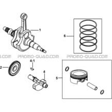 VILEBREQUIN pour Tgb Toutes les cylindrées Toutes les années BLADE 600 SE EPS