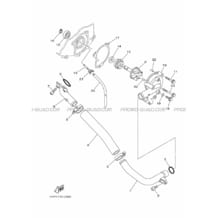 POMPE A EAU     DURITES pour Yamaha 700 2012 GRIZZLY YFM700FWAD 1HP7 YAMAHA BLACK