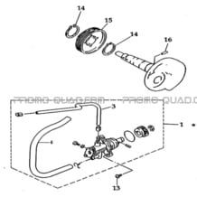 ENSEMBLE POMPE A HUILE pour Masai Toutes les cylindrées Toutes les années K50S