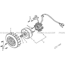 ALTERNATEUR pour Masai Toutes les cylindrées Toutes les années L150 - A150 Ultimate