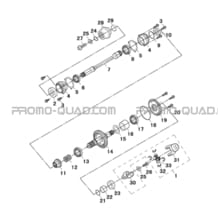 TRANSMISSION MOTEUR pour Masai Toutes les cylindrées Toutes les années X1000