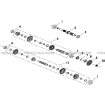 TRANSMISSION BOITE DE VITESSES pour Masai Toutes les cylindrées Toutes les années X300