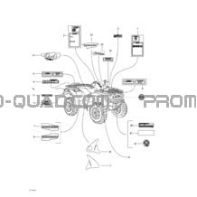 Décalques pour Can-am Toutes les cylindrées 2001 Traxter Autoshift