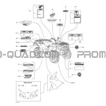 Décalques pour Can-am Toutes les cylindrées 2001 Traxter XT