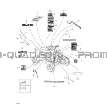 Décalques pour Can-am Toutes les cylindrées 2002 DS 650