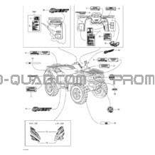 Décalques pour Can-am Toutes les cylindrées 2002 Quest