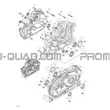 Carter pour Can-am Toutes les cylindrées 2002 Quest