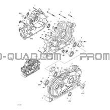 Carter pour Can-am Toutes les cylindrées 2002 Quest XT