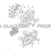 Carter pour Can-am Toutes les cylindrées 2003 Quest 500