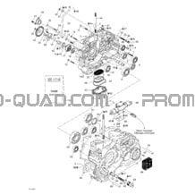 Carter pour Can-am Toutes les cylindrées 2003 Traxter Autoshift XT