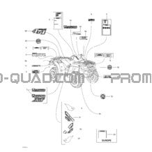 Décalques pour Can-am Toutes les cylindrées 2003 Traxter Autoshift XT