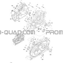 Carter pour Can-am Toutes les cylindrées 2004 Quest MAX