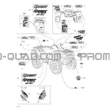 Decals pour Can-am Toutes les cylindrées 2004 Quest XT