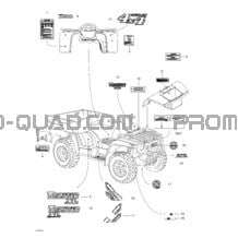 Décalques pour Can-am Toutes les cylindrées 2004 Traxter XL