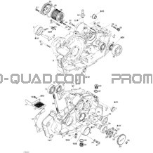 Carter pour Can-am Toutes les cylindrées 2005 DS 650 DS 650 X