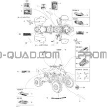 Décalques pour Can-am Toutes les cylindrées 2005 DS 650 DS 650 X