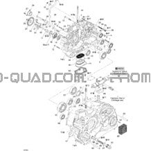 Carter pour Can-am Toutes les cylindrées 2005 Traxter Max Std & Max XT
