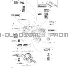Décalques pour Can-am Toutes les cylindrées 2005 Traxter Max Std & Max XT