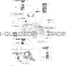 Décalques pour Can-am Toutes les cylindrées 2005 Traxter XT