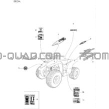 Décalques pour Can-am Toutes les cylindrées 2006 strokes