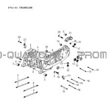 Carter pour Can-am Toutes les cylindrées 2006 strokes