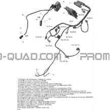 Câblage moteur pour Can-am Toutes les cylindrées 2006 Outlander 800 XT 4 X 4