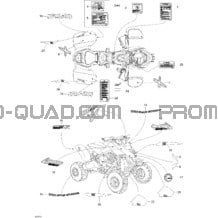 Décalques pour Can-am Toutes les cylindrées 2007 DS 650 X