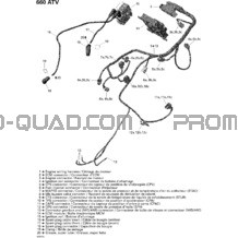 Câblage Moteur pour Can-am Toutes les cylindrées 2007 Outlander 650 STD 4 X 4