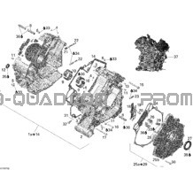 Carter pour Can-am Toutes les cylindrées 2007 Outlander MAX 500 XT 4 X 4