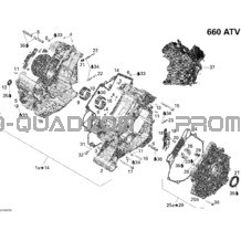Carter pour Can-am Toutes les cylindrées 2007 Outlander MAX 650 STD 4 X 4