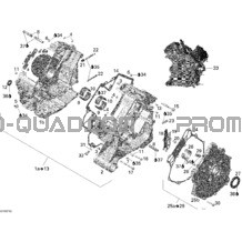 Crankcase OUTLANDER pour Can-am Toutes les cylindrées 2007 Outlander MAX 800 STD 4 X 4