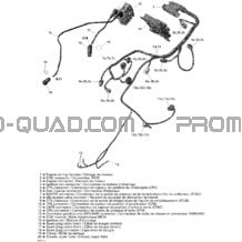 Engine Harness Outlander 800EFI pour Can-am Toutes les cylindrées 2007 Renegade 800 EFI